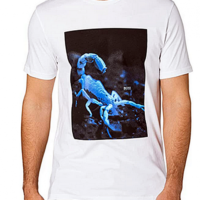 Hugo Boss  T-Shirt Terisk aus Baumwolle mit im Dunkeln leuchtendem Print weiss 102 Hugo Boss  T-Shirt Terisk aus Baumwolle mit im Dunkeln leuchtendem Print weiss 102