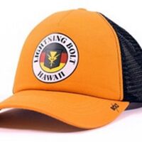 Lightning Bolt HAWAII TRUCKER CAP mit BOLT Logo auf dem Schirm Sunflower-Y25