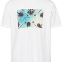 BALDESSARINI T-Shirt Tony Modern Fit mit Art Print weiß 1020